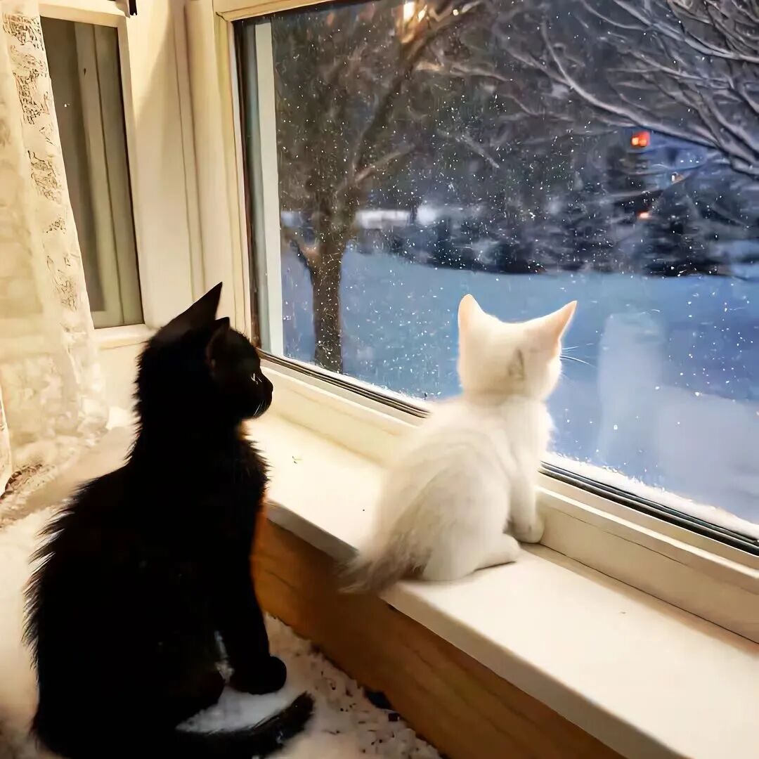 在“学历”与“能力”之间，我选择“经历”